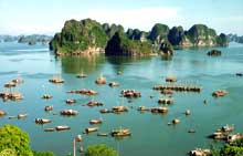 Vietnam 's image