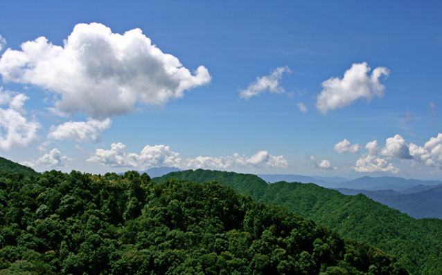 Bach Ma National park