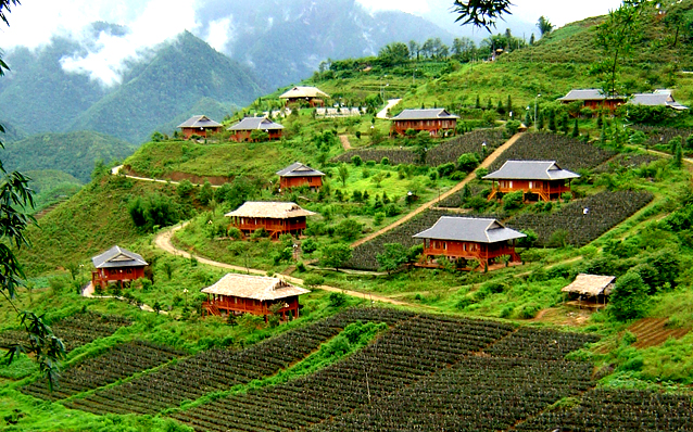 Sapa.jpg