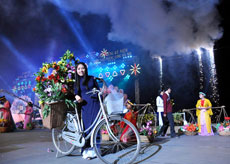 Da Lat Festival Flower