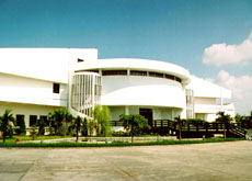 Museum offers Tet programme