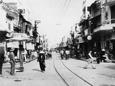 Thang Long 