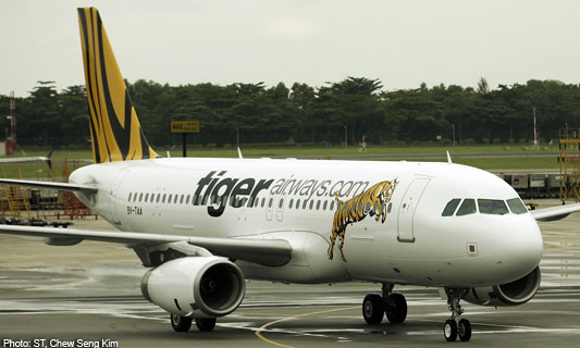 Tiger to fly to Trichy : Vietnam Travel News, Vietnam Travel ...